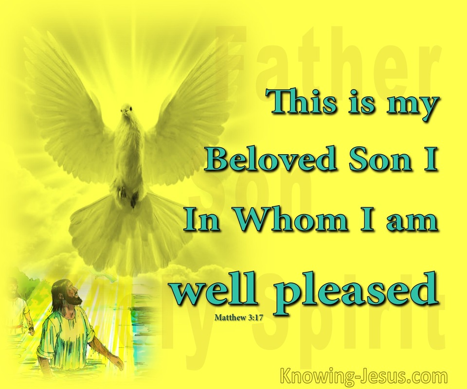Matthew 3:17 A Beautiful Picture (devotional)10-06 (yellow)